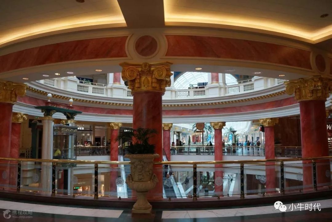 耐克足球夏令营,耐克范佩西