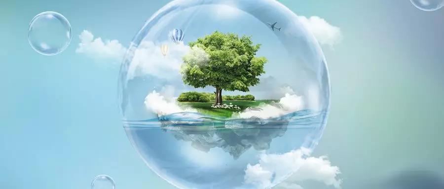 双星企业文化,双星集团建设