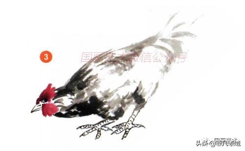 画鸡技法教学,任伯年写意画鸡