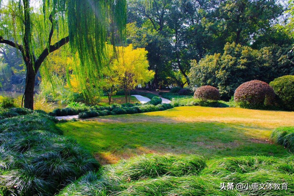 很好的教案，部编版四语下《绿》第二课时，附课文朗诵视频