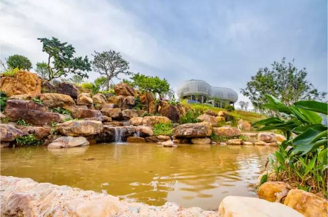 深圳北站中心公园现状,深圳北站中心公园风景