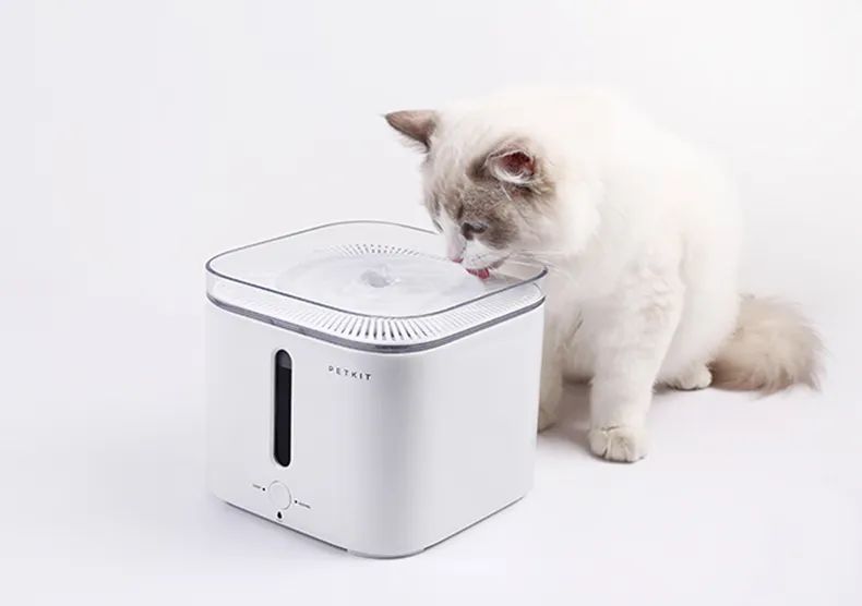 小佩宠物饮水机漏水,小佩饮水机漏电对宠物有害吗