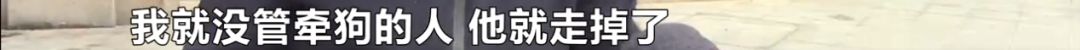 湖南长沙狗不拴绳撞到路人,长沙女子遛狗不牵绳被金毛咬后续