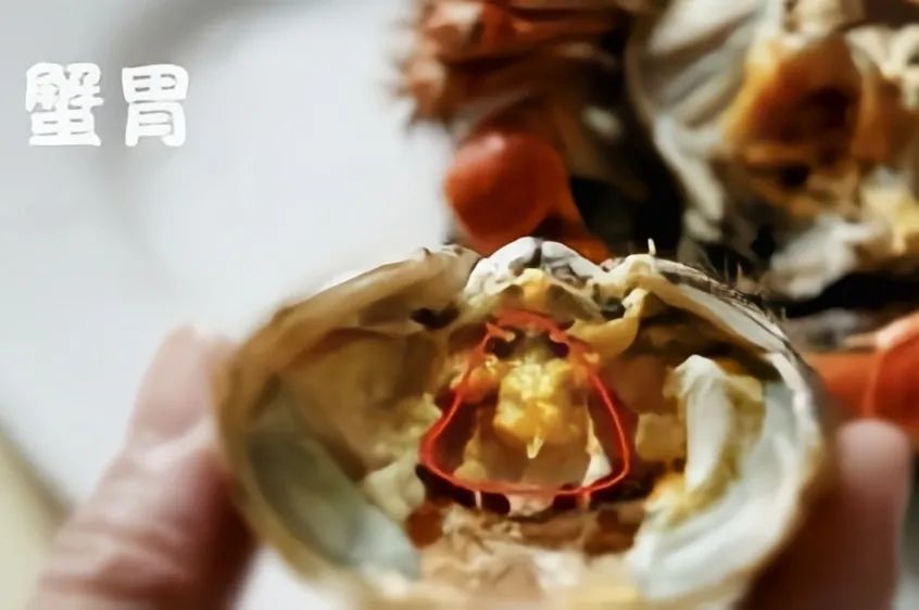 吃蟹时节到！螃蟹必须吃活的吗？吃蟹有哪些讲究？如何挑选好蟹？