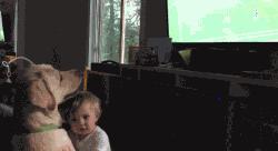 狗狗被孕妈肚子里的宝宝踢了一脚,狗狗怀孕宝宝踢肚子会生吗