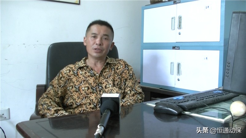 母猪产后坐月子,母猪坐月子