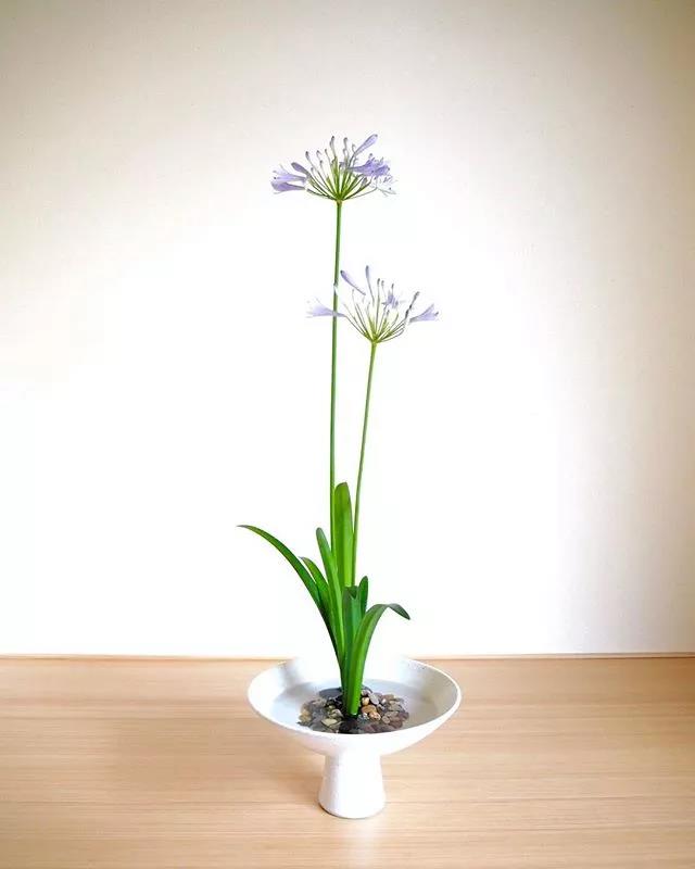 一花一世界一叶一菩提本来无一物,一花一世界一叶一菩提一场梦