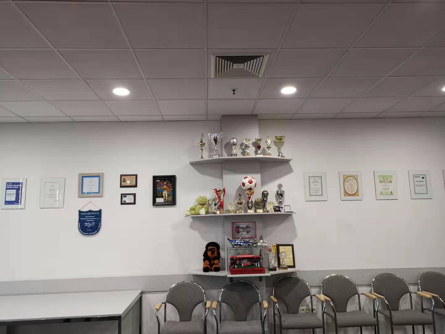 波兰工厂,波兰最大的企业