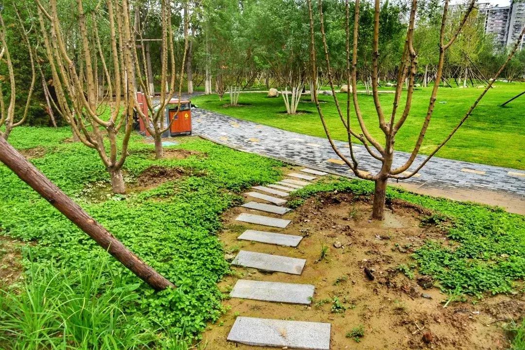 昌平公园最新介绍,北京昌平最新开放公园