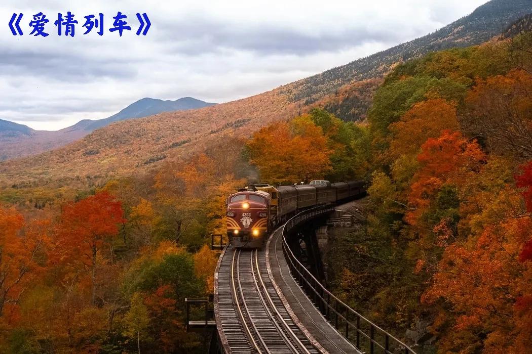 第57篇：花酒旗袍待火车，南园白桥别杏湖（国庆节特辑）