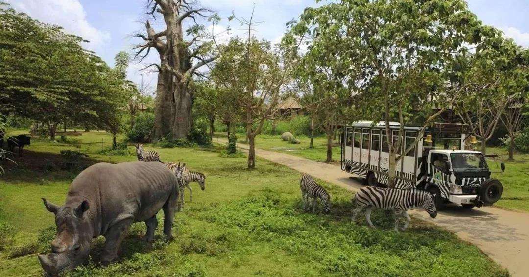 国内值得去的十大动物园,国内最值得去的动物园