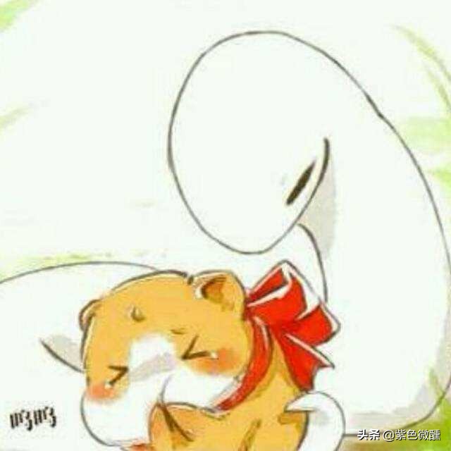 小仓鼠和大蛇的互宠日常,蛇先生与小仓鼠