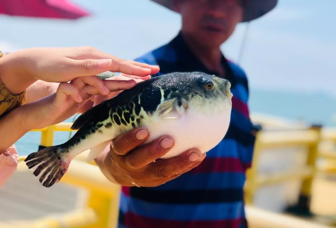 五一台州海岛,五一天气好的海岛推荐
