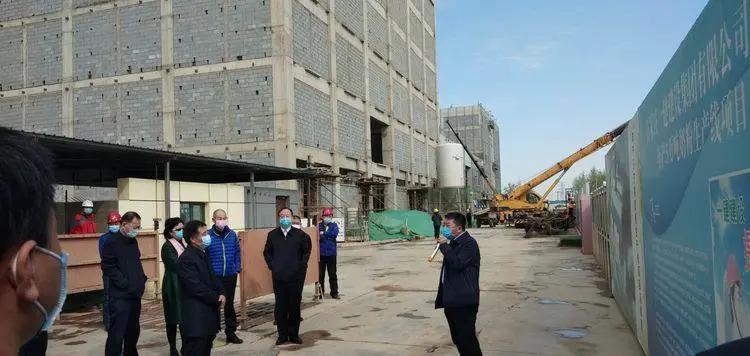 飞鹤君乐宝圣元,飞鹤澳优君乐宝奶粉