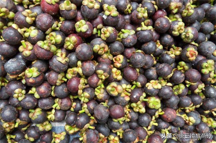 唐三镜芦荟酒制作方法,唐三镜红薯酒配方