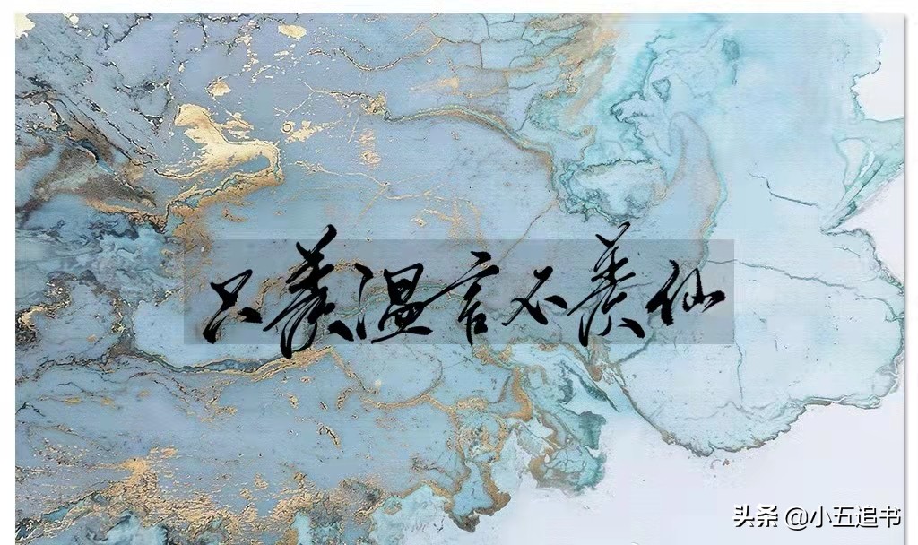 十年一品温如言这类的小说,十年一品温如言小说有点看不懂