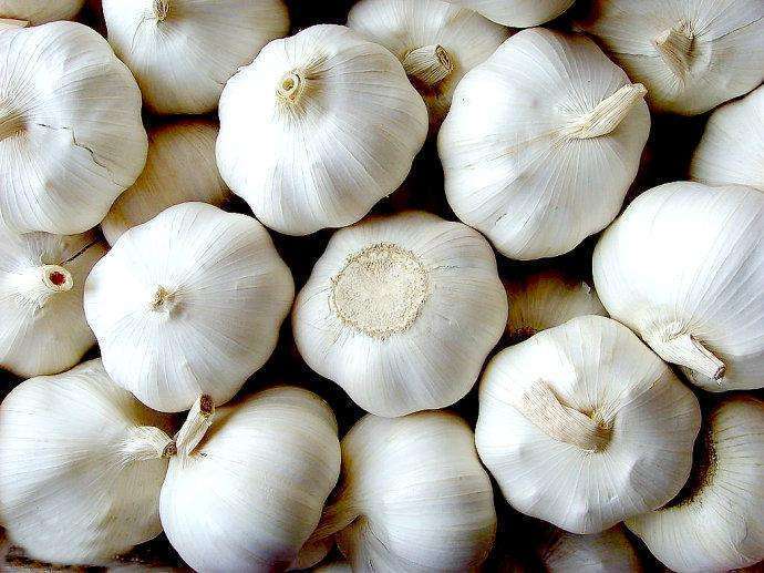 吃了大蒜吃什么可以消除异味,吃了大蒜臭味怎么去除