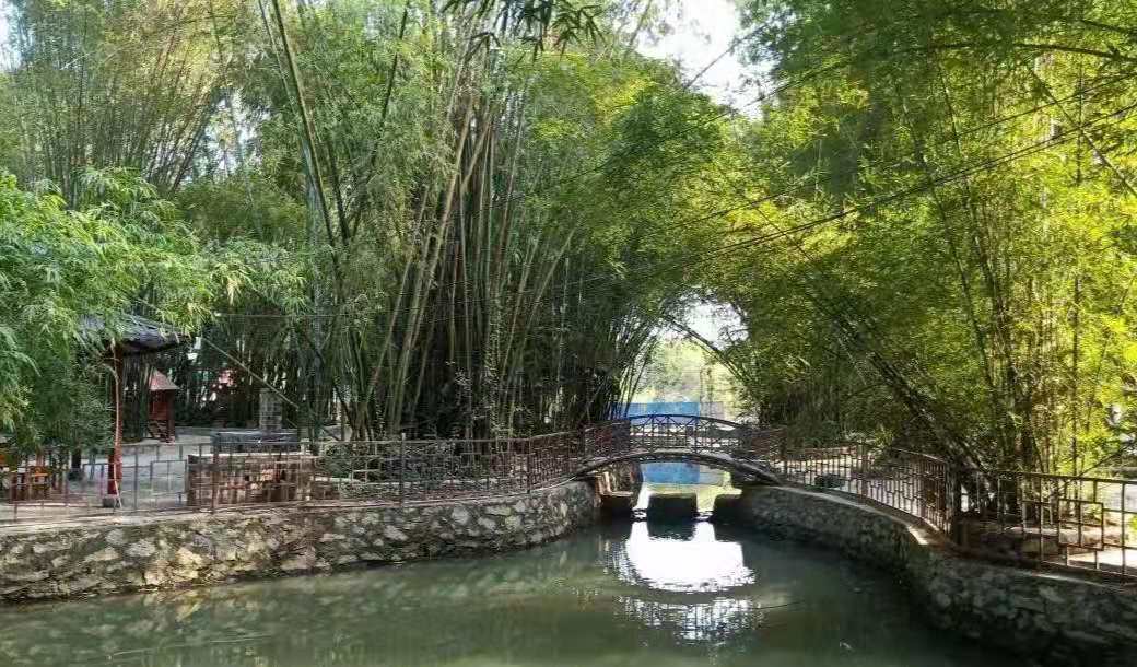 狮环屯未来发展,狮环乡村振兴