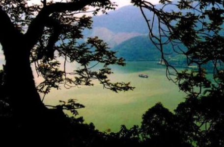 景美情美辞美——《与朱元思书》文言文原文阅读答案翻译注释