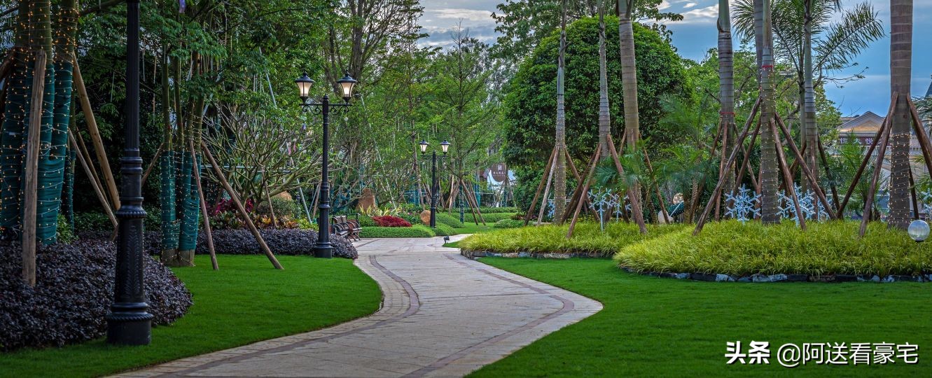 广州地标打卡视频,广州夜景网红打卡图