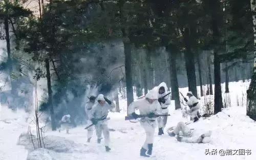 突如其来的和平，冬季战争最后时刻的士兵回忆