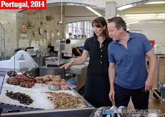 十大顶级品牌polo,polo品牌图片汇总