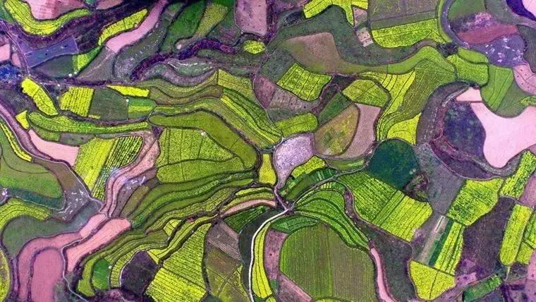 2019年国家先给钱后建设的4类农业产业项目，最多补贴1个亿