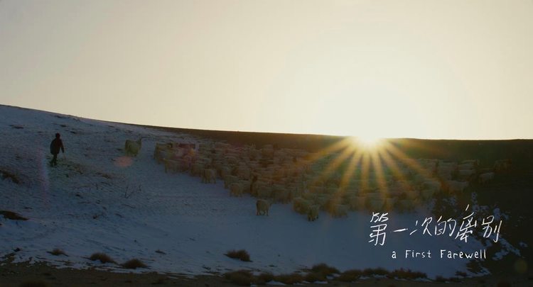 油画般的电影风格,油画般画质的电影