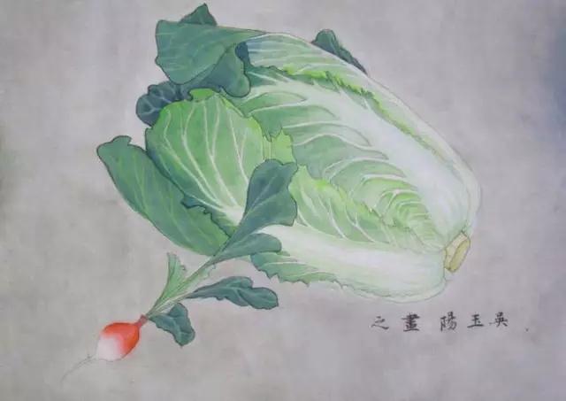 画白菜技法,3d白菜画