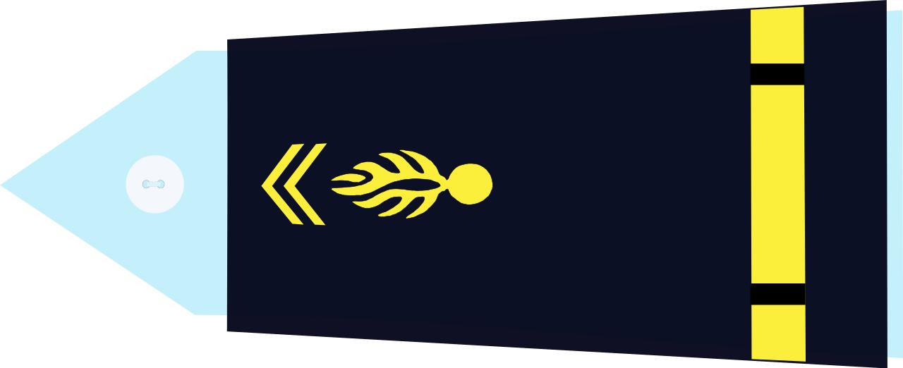 法国将军军衔等级,法国上校是什么军衔