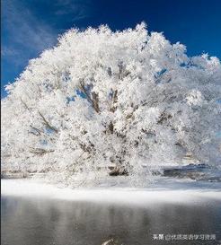 winter英文阅读,winter英语原版