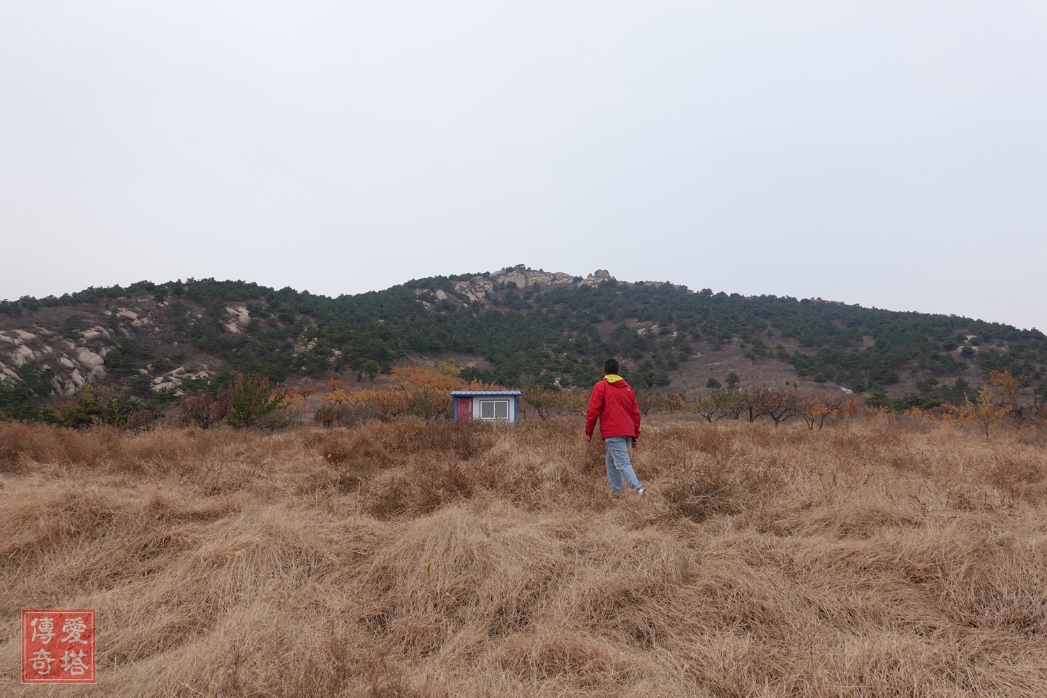 2020年经典电视剧有哪些,2020年将要播出的电视剧有哪些