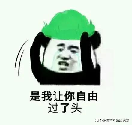 双胞胎鉴定同母异父,双胞胎鉴定同母异父视频完整版