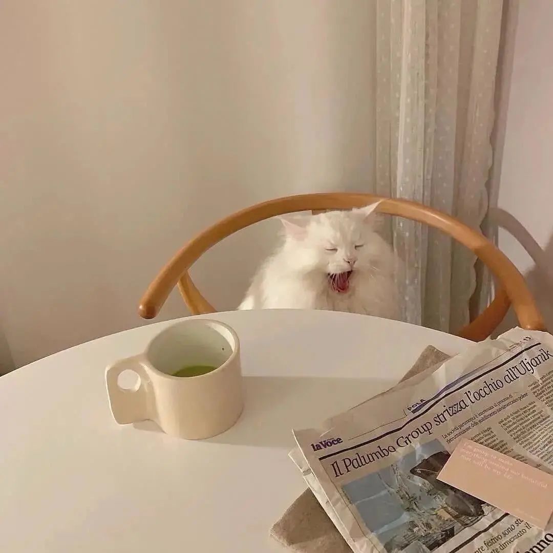 抖音热门头像大全,100张抖音热门头像全部给你找