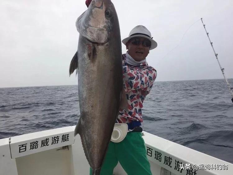 加拿大钓鱼视频教程,加拿大钓鱼攻略大全