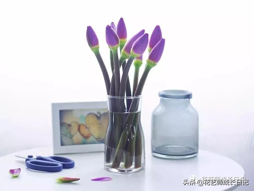 花店护理花小技巧,花店花材养护及资料整顿