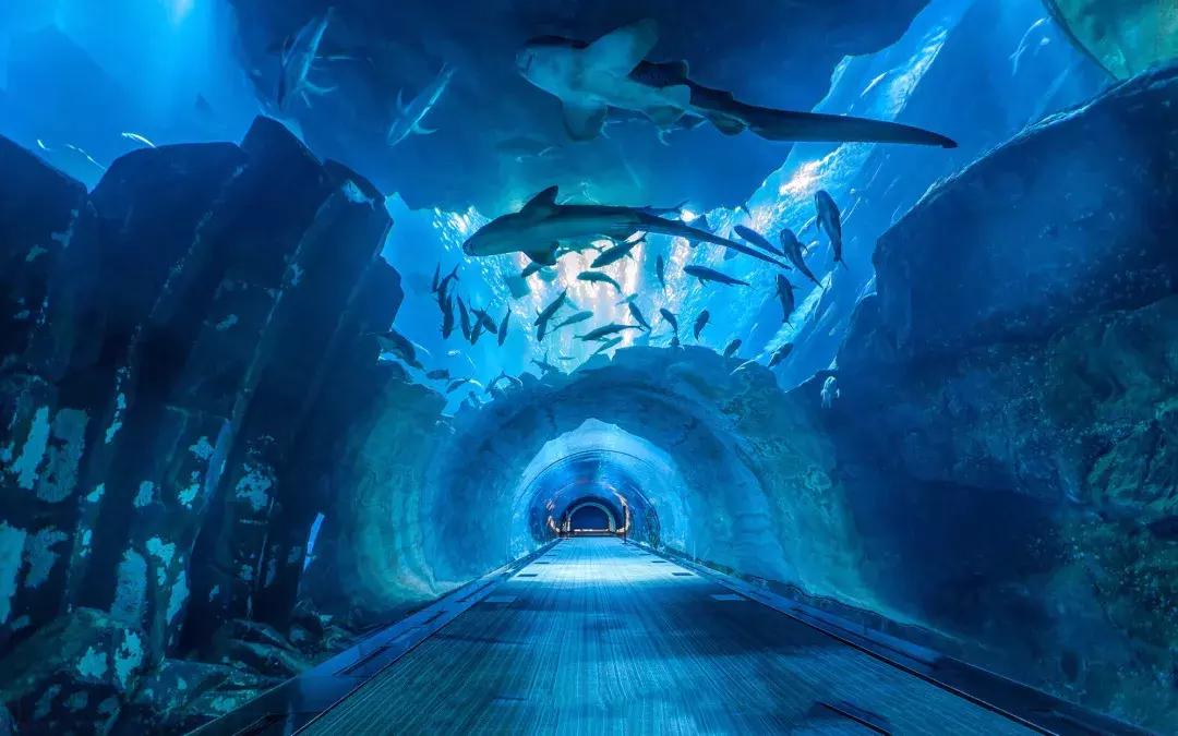 迪拜一日游32美元,100美元迪拜