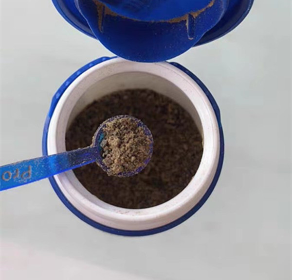 狗狗得了牙结石,狗狗得牙结石会有什么危害