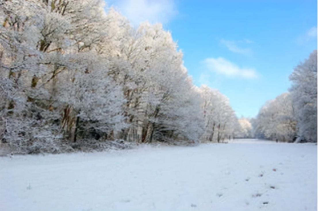 42岁鼻毛变白一定是衰老吗,鼻毛变白是衰老的前兆吗