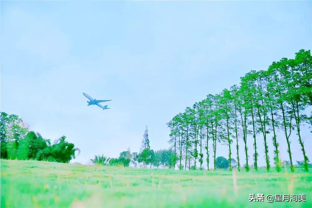 成都小众但值得去的地方,成都必打卡的30个小众上镜地