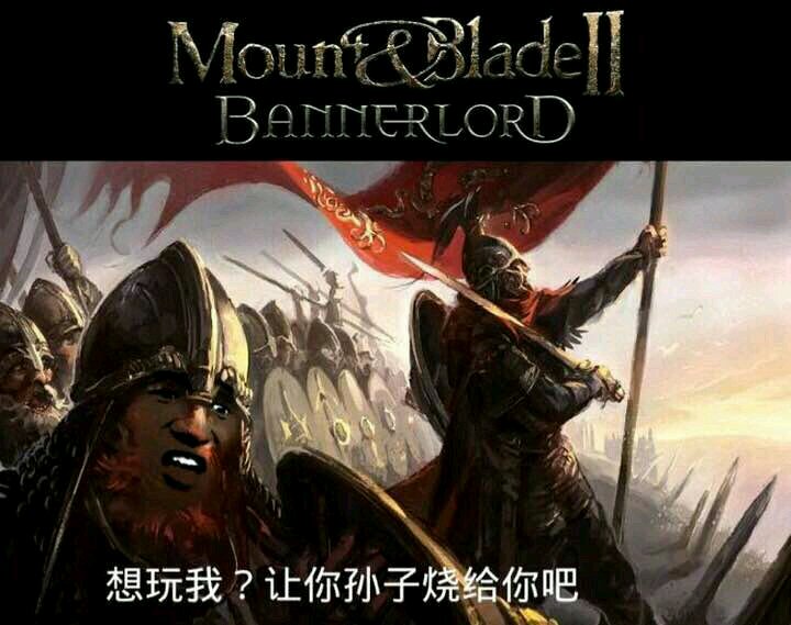 steam骑砍2夺冠,骑砍2最强队伍