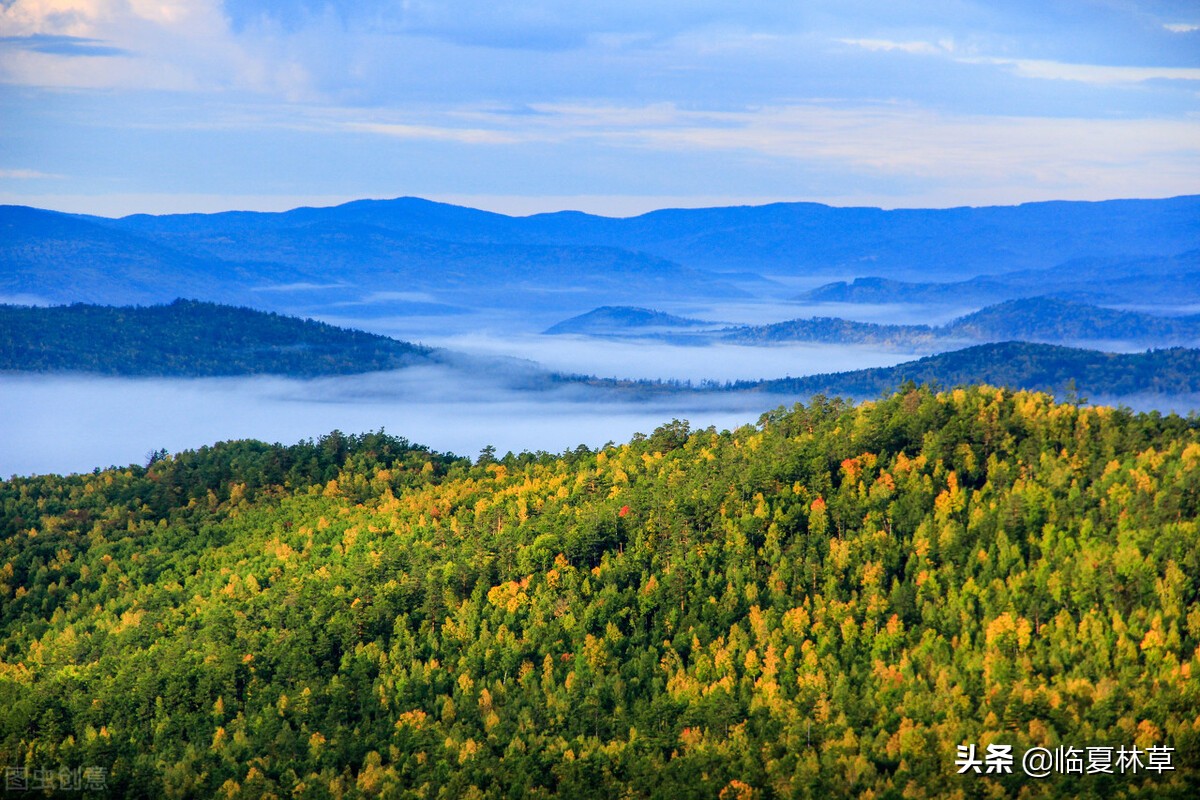 林草科普,林草业务知识