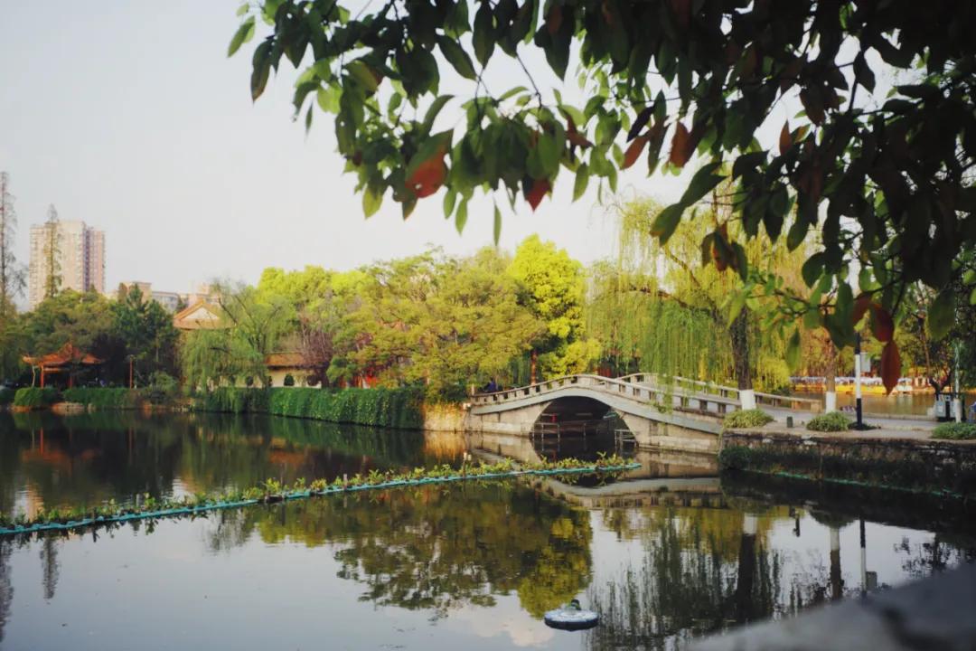 出发四季如春之地昆明,云南昆明攻略冬天