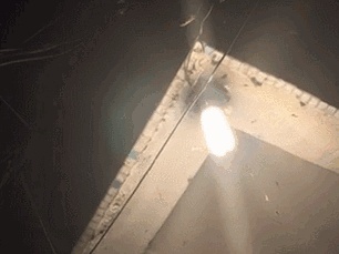 【吓人】太多多多……了！最近很多人被吓得不敢开灯，只因它又来袭