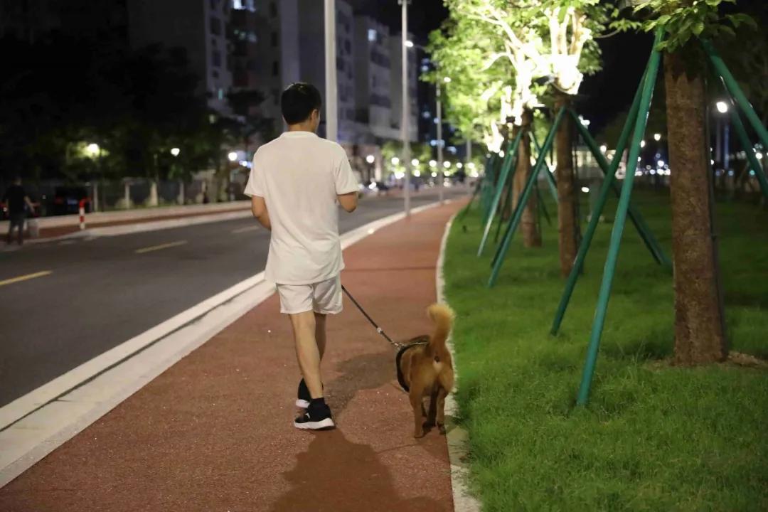 @三灶养犬人：这里有个活动与您有关