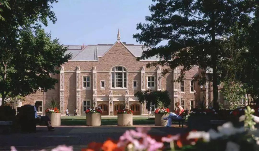 都是网红是什么意思,都是网红的村