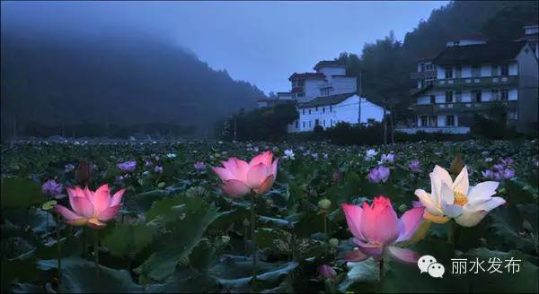 宁波高铁去丽水,丽水直达宁波高铁