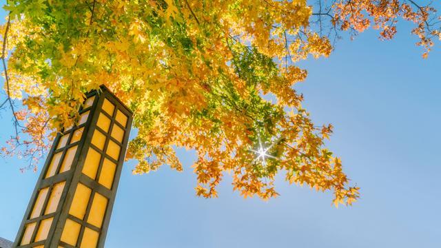 高考考入大连海事大学,大连海事大学高考2020