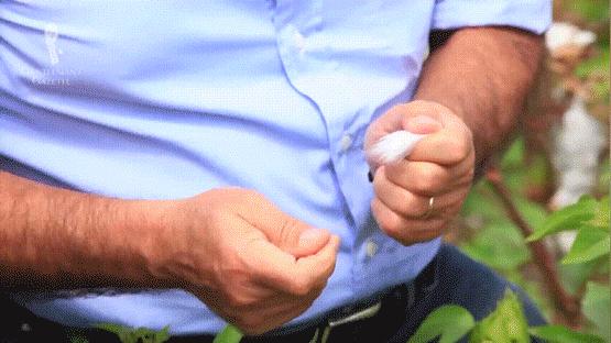 polo衫品牌拉夫劳伦,拉夫劳伦高端男士polo衫