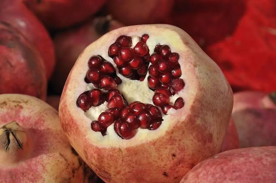 全国各地最全特产,全新疆特产